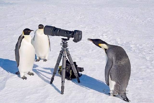 Shangrala's Budding Photographers