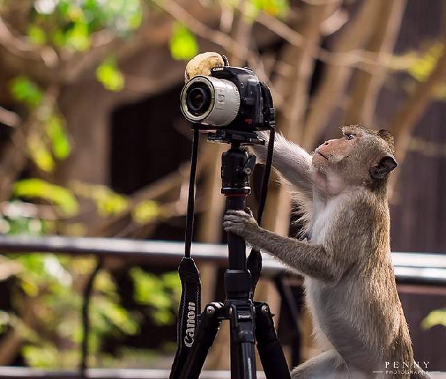 Shangrala's Budding Photographers