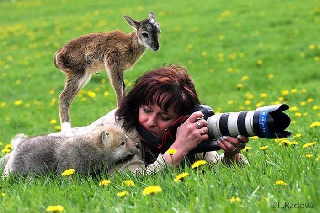 Shangrala's Budding Photographers