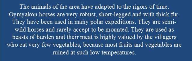 Shangrala's World's Coldest City