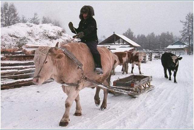 Shangrala's World's Coldest City