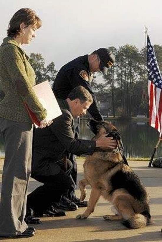 Shangrala's Military Dogs 2