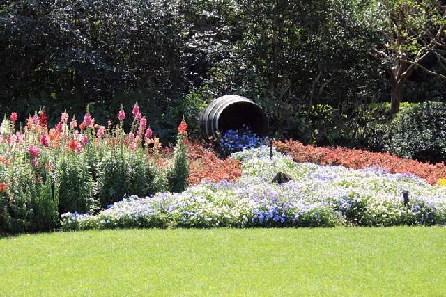 Shangrala's Beautiful Spilling Flowers