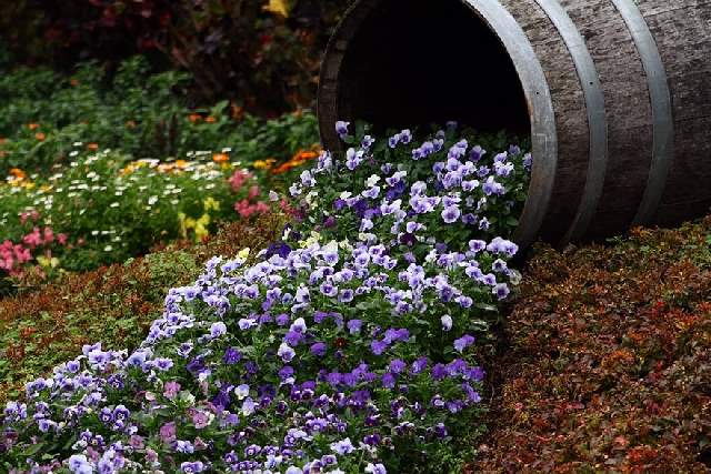 Shangrala's Beautiful Spilling Flowers