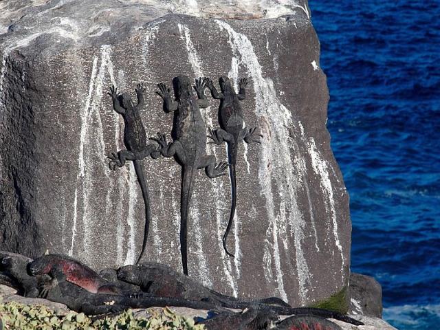 Shangrala's Beautiful Galapagos Islands