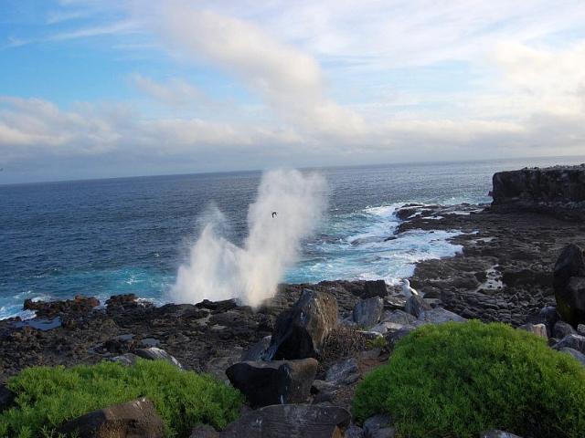 Shangrala's Beautiful Galapagos Islands