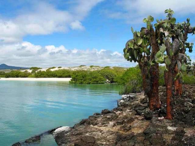 Shangrala's Beautiful Galapagos Islands