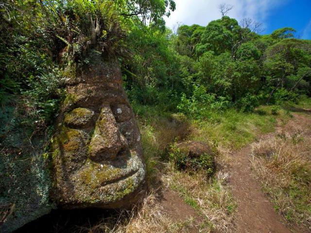 Shangrala's Beautiful Galapagos Islands