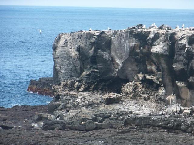 Shangrala's Beautiful Galapagos Islands 2