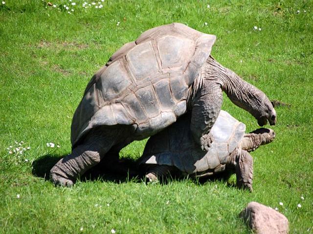 Shangrala's Beautiful Galapagos Islands 2