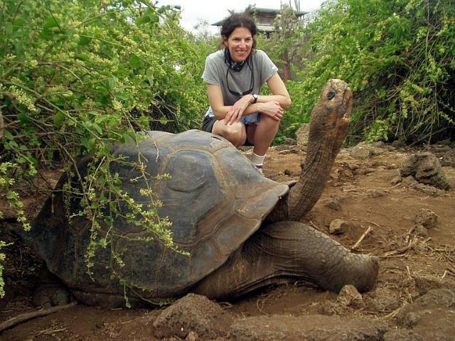 Shangrala's Beautiful Galapagos Islands 2