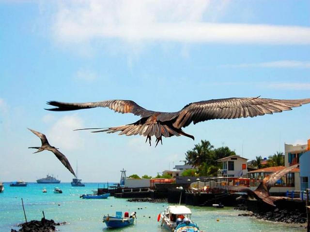 Shangrala's Beautiful Galapagos Islands 2