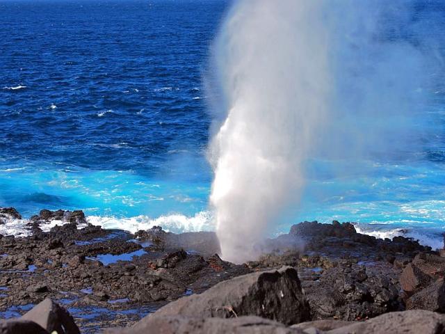 Shangrala's Beautiful Galapagos Islands