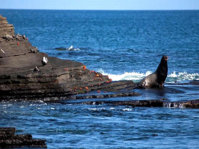 Shangrala's Beautiful Galapagos Islands