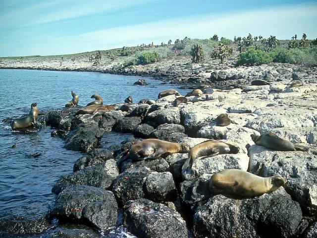 Shangrala's Beautiful Galapagos Islands