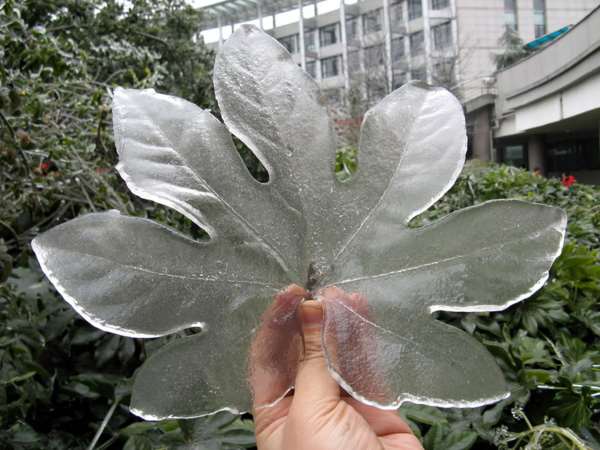 Shangrala's God's Ice Creations