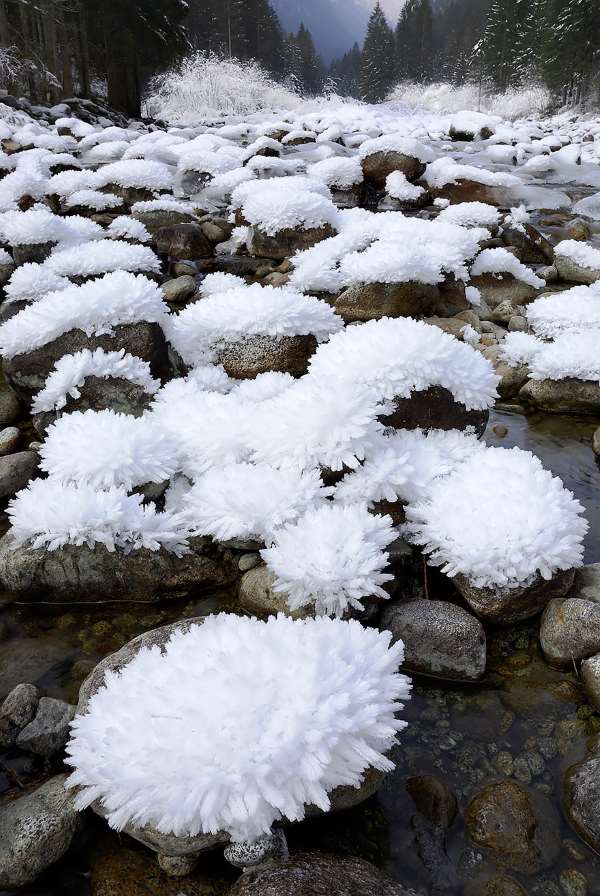 Shangrala's God's Ice Creations