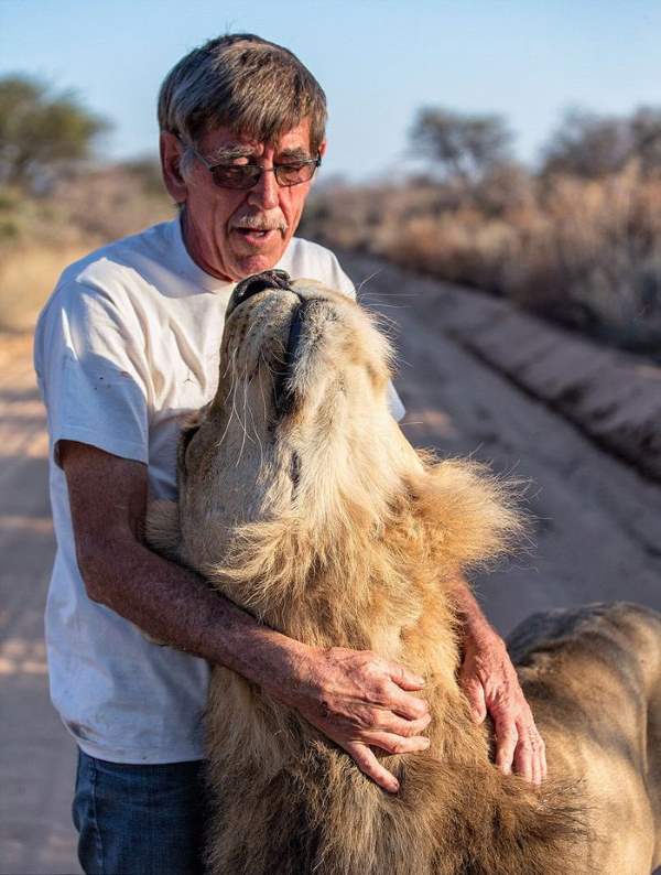 Shangrala's Zion The Lion