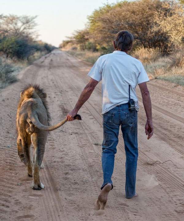 Shangrala's Zion The Lion