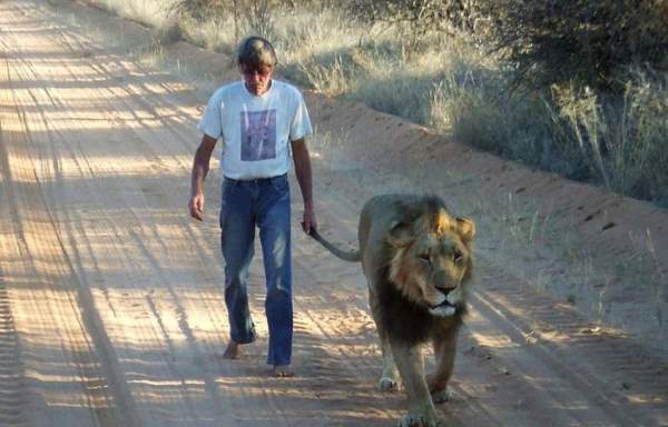 Shangrala's Zion The Lion