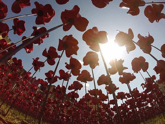 Shangrala's WWI River Of Blood Tribute