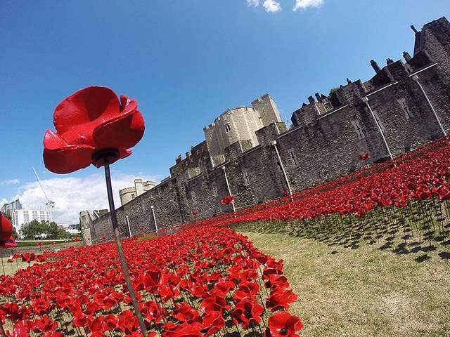 Shangrala's WWI River Of Blood Tribute