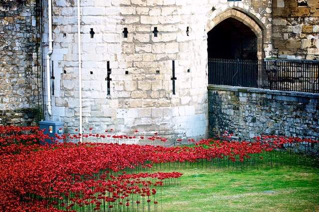 Shangrala's WWI River Of Blood Tribute