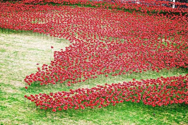 Shangrala's WWI River Of Blood Tribute