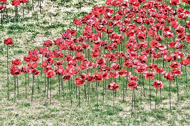 Shangrala's WWI River Of Blood Tribute