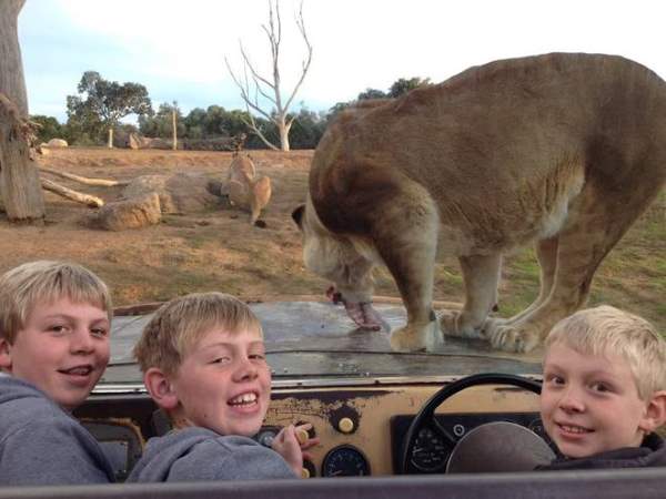 Shangrala's Werribee Open Range Zoo