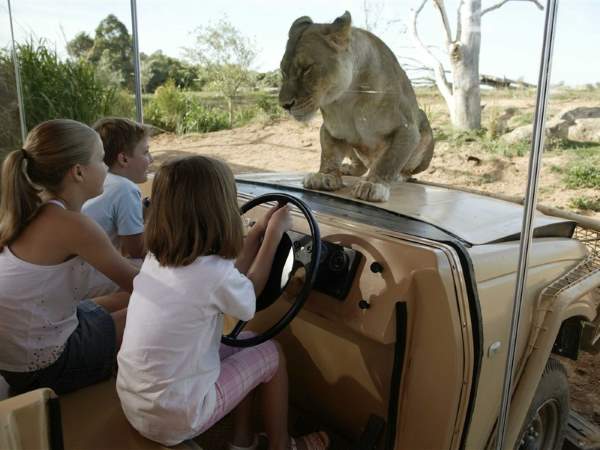 Shangrala's Werribee Open Range Zoo