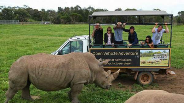 Shangrala's Werribee Open Range Zoo