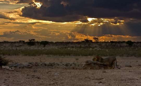 Shangrala's Beautiful Africa