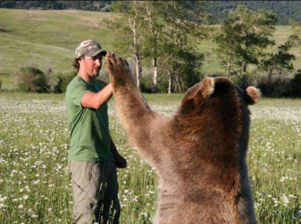 Shangrala's Brutus The Bear