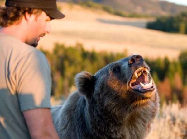 Shangrala's Brutus The Bear