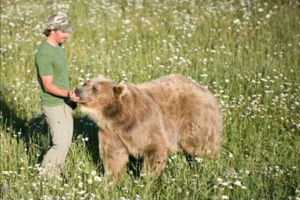 Shangrala's Brutus The Bear