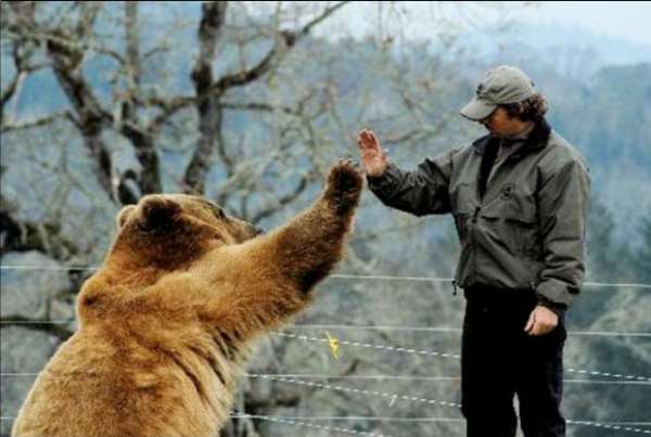 Shangrala's Brutus The Bear