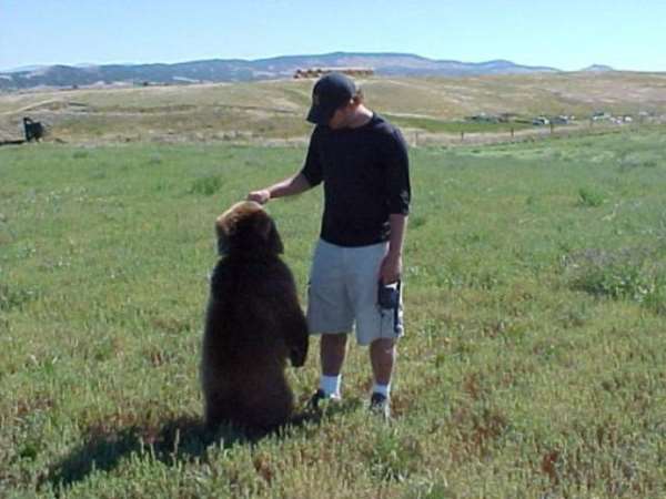 Shangrala's Brutus The Bear