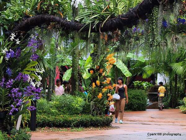 Shangrala's Singapore Bird Park