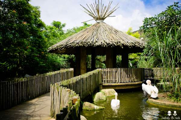 Shangrala's Singapore Bird Park