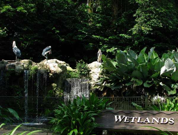 Shangrala's Singapore Bird Park