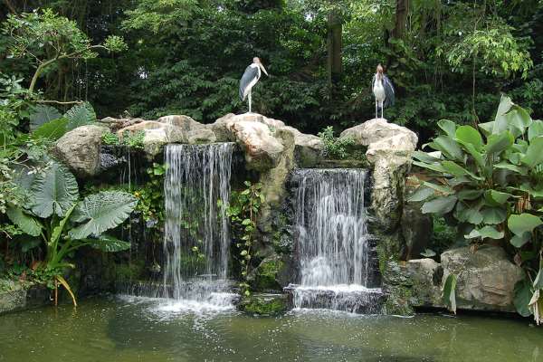 Shangrala's Singapore Bird Park