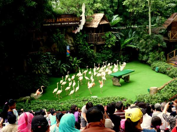 Shangrala's Singapore Bird Park