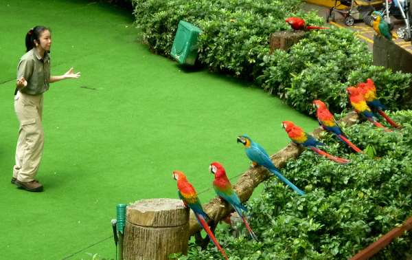 Shangrala's Singapore Bird Park