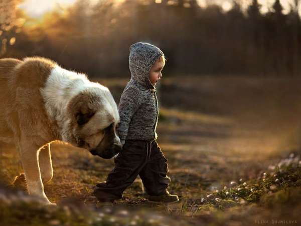 Shangrala's Kids With Animals 3