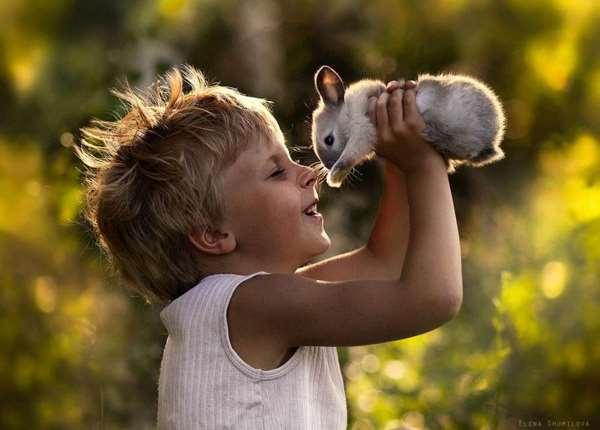 Shangrala's Kids With Animals 3