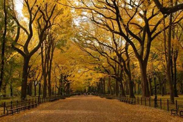 Shangrala's Autumn Around The World 2