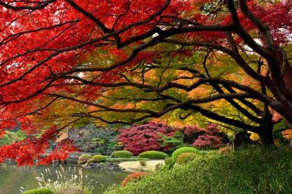 Shangrala's Autumn Around The World 2