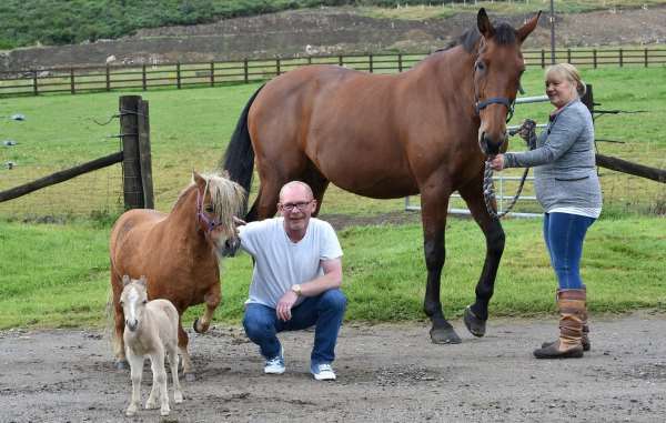 Shangrala's Cute Little Pony