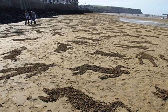 Shangrala's Sands Of Normandy